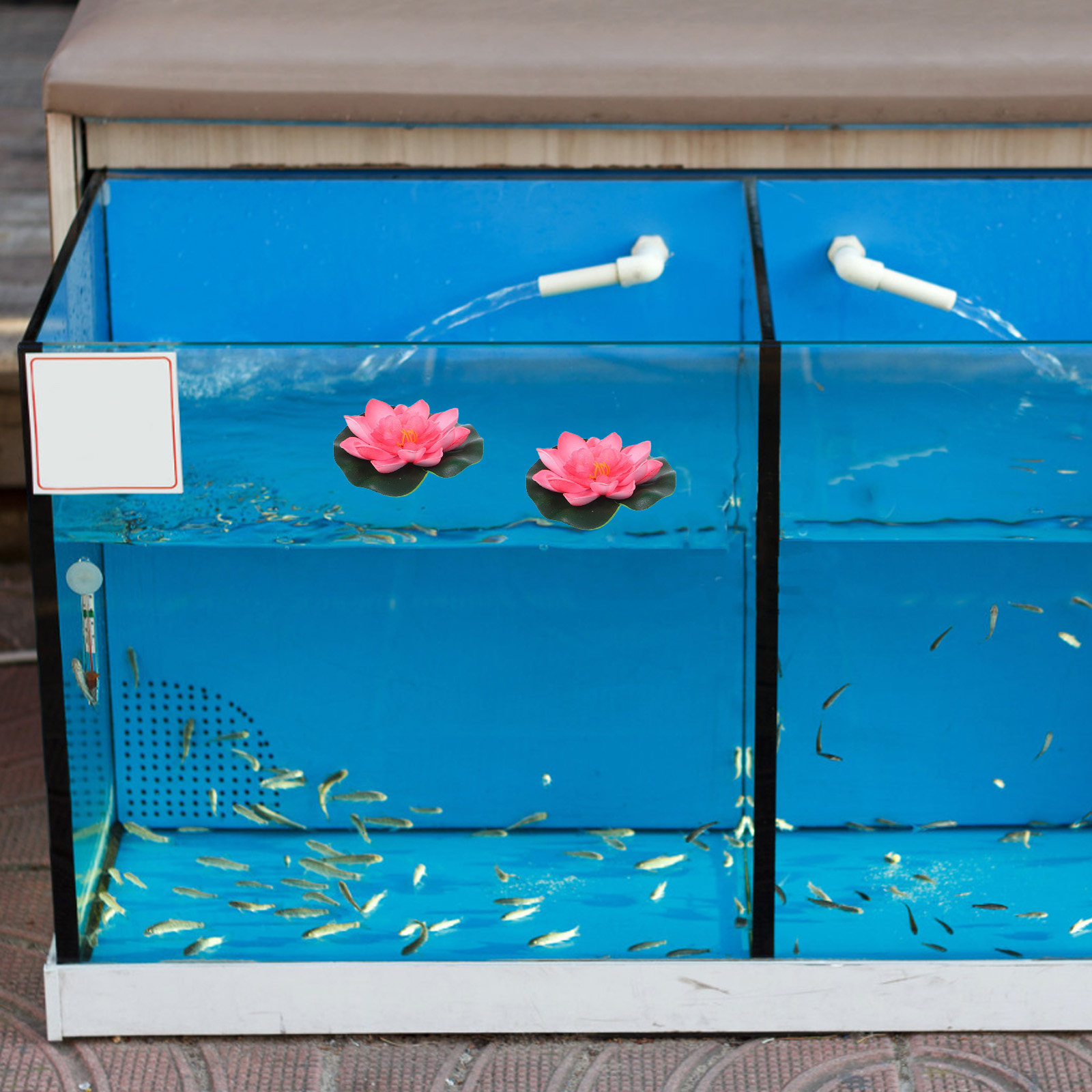 12Pcs Artificial Floating Wate - Aquarium Decor 评论和价格