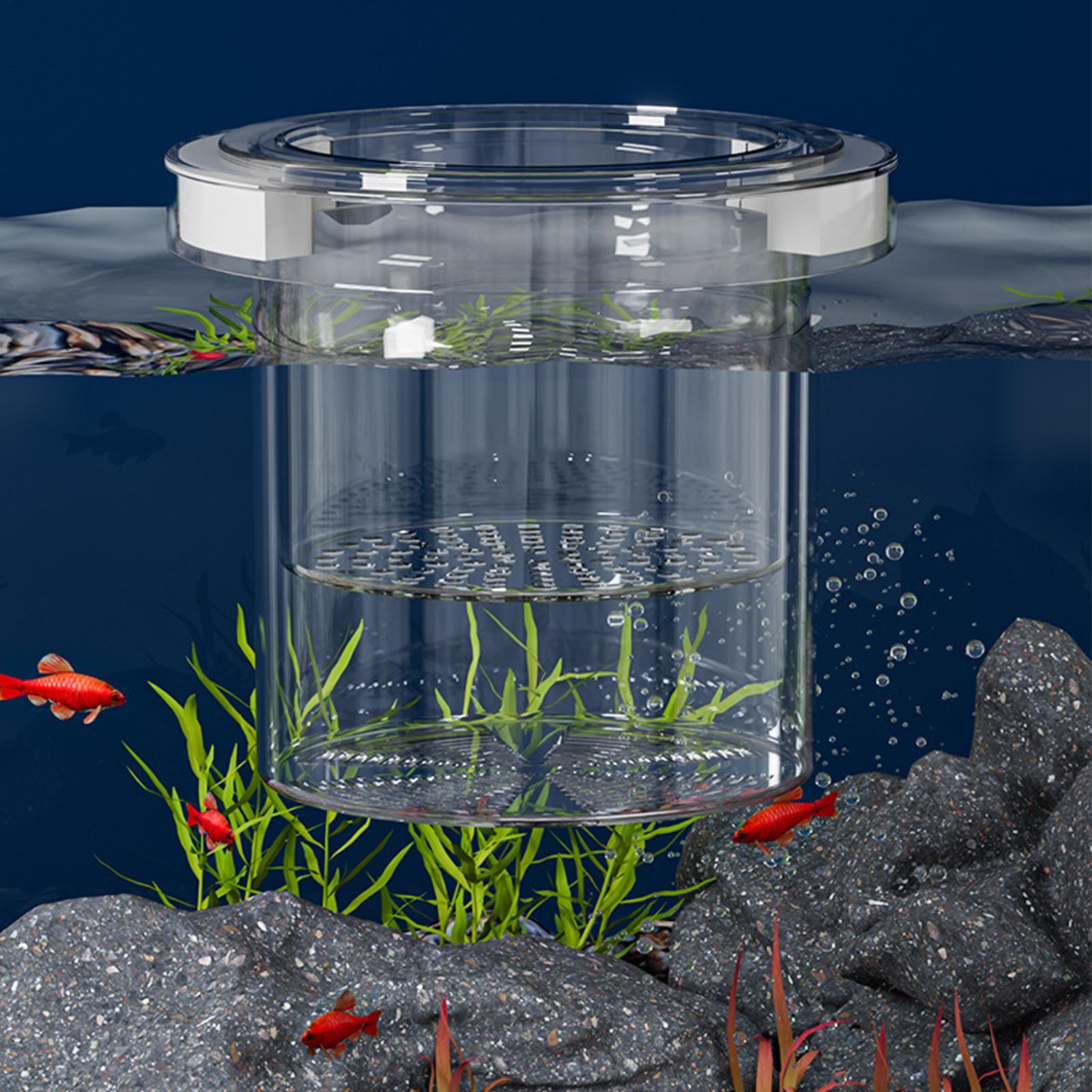 Floating Fish Breeding Isolati - Aquarium Fish Betta 评论和价格