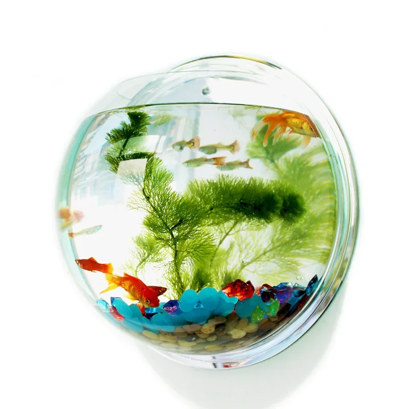 Pinsjar Acrylic Fish Bowl Wall - Aquarium Fish Betta 评论和价格