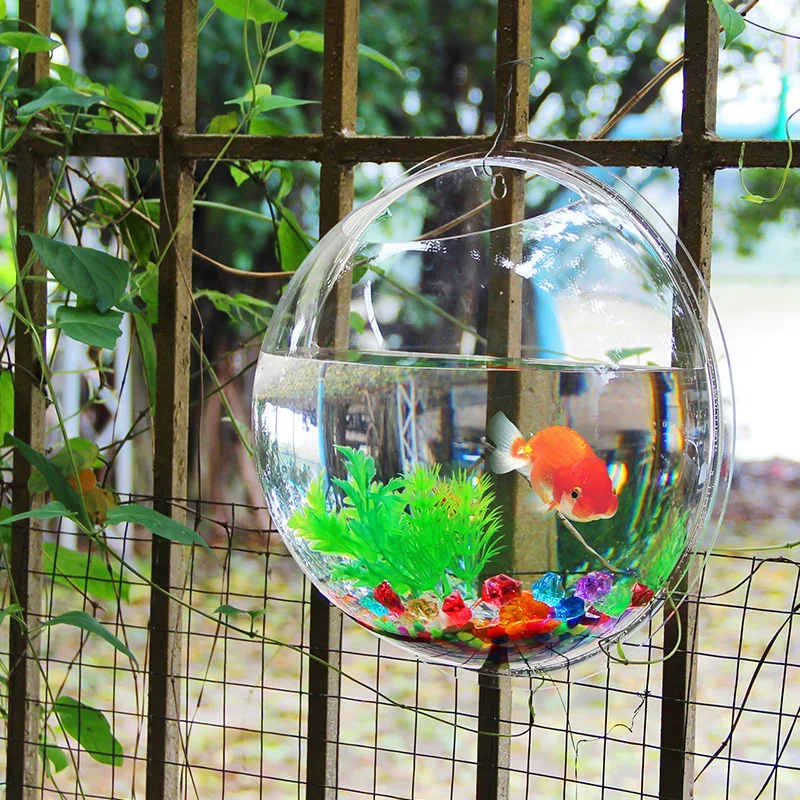 Pinsjar Acrylic Fish Bowl Wall - Aquarium Fish Betta 评论和价格