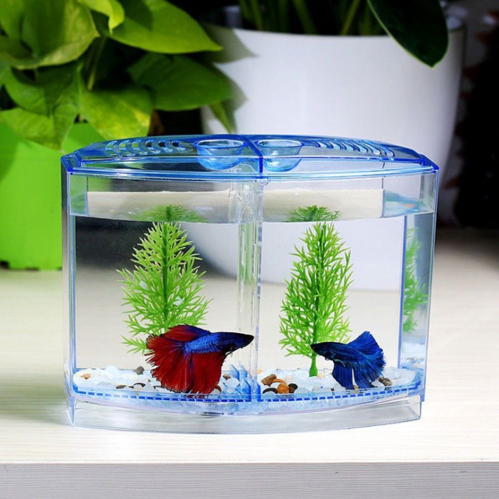 Transparent Betta Fish Tank, D - Aquarium Fish Betta 评论和价格