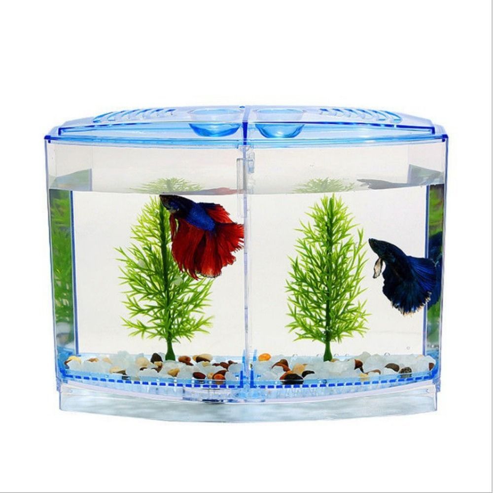 Transparent Betta Fish Tank, D - Aquarium Fish Betta 评论和价格