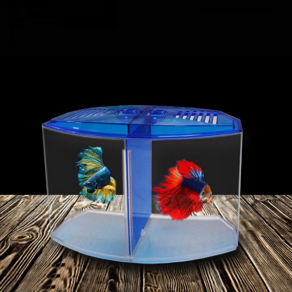 Transparent Betta Fish Tank, D - Aquarium Fish Betta 评论和价格