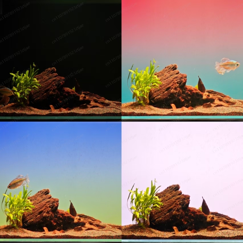 Black Acrylic Aquarium Backgro - Aquarium Light 评论和价格