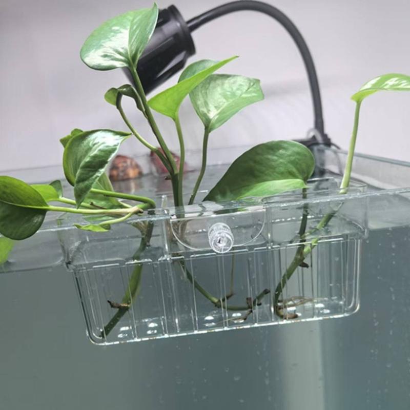 Hydroponic Plant Basket Food G - Aquarium Fish Tank 评论和价格
