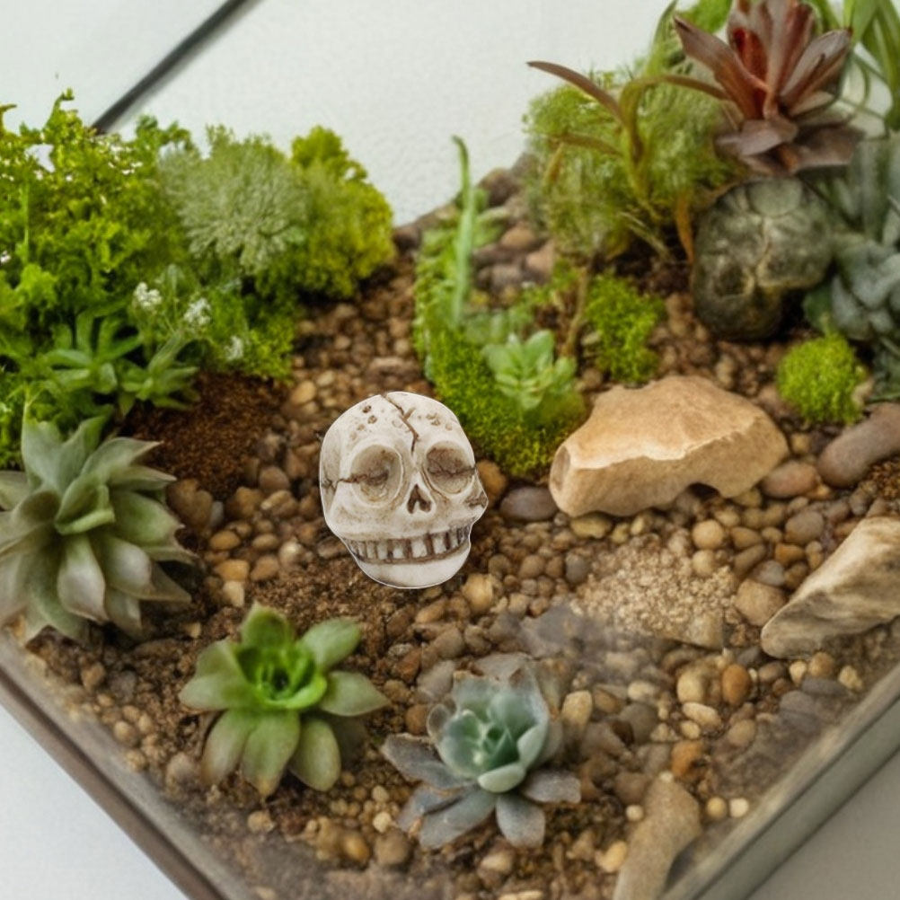 20Pcs Resin Smiling Skull Stat - Aquarium Decor 评论和价格