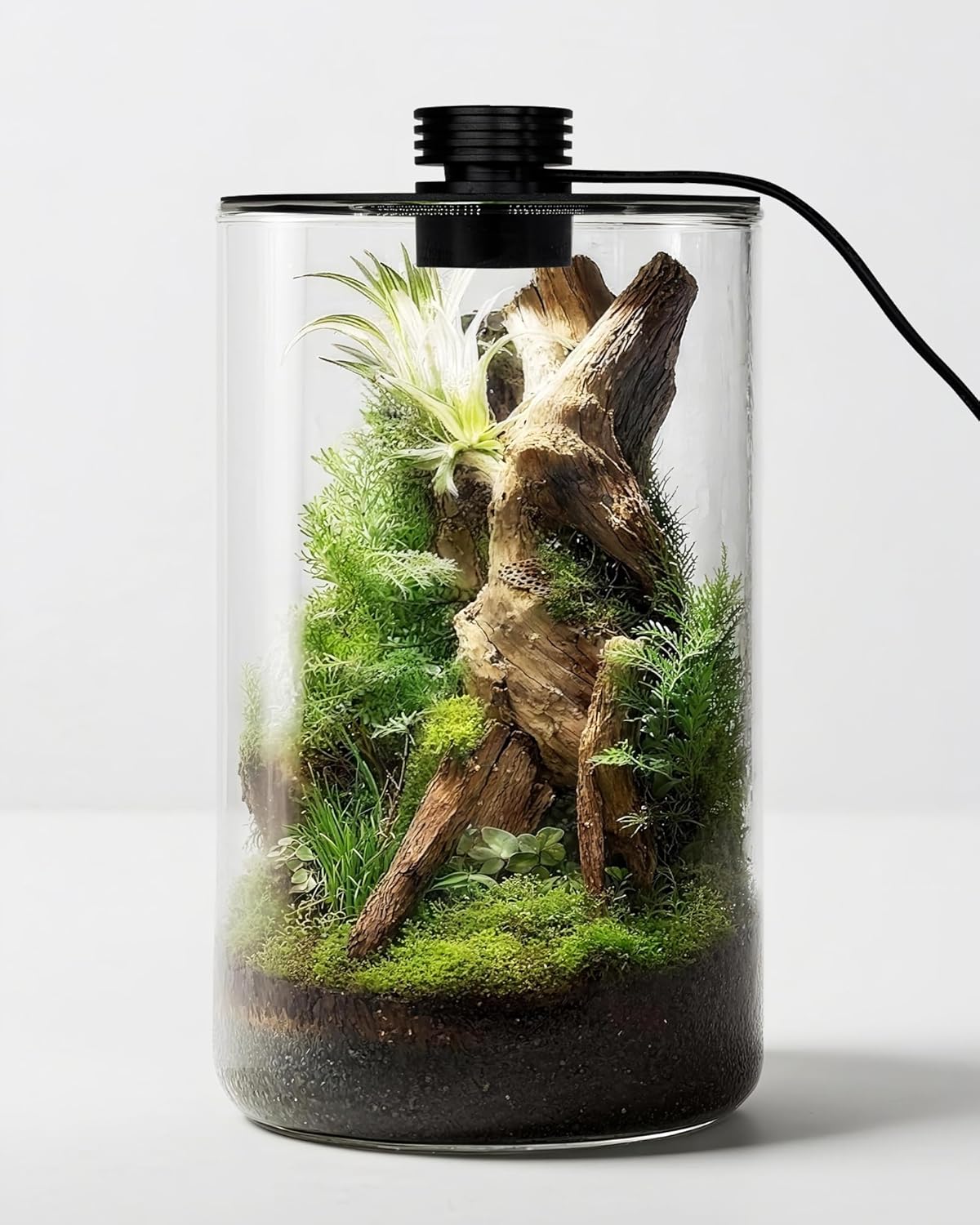 Indoor Glass Terrarium with Gr - Betta Fish Tank 评论和价格
