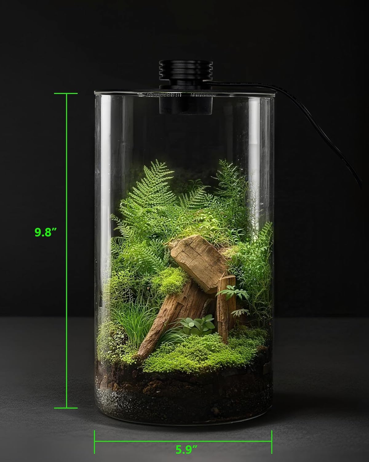 Indoor Glass Terrarium with Gr - Betta Fish Tank 评论和价格
