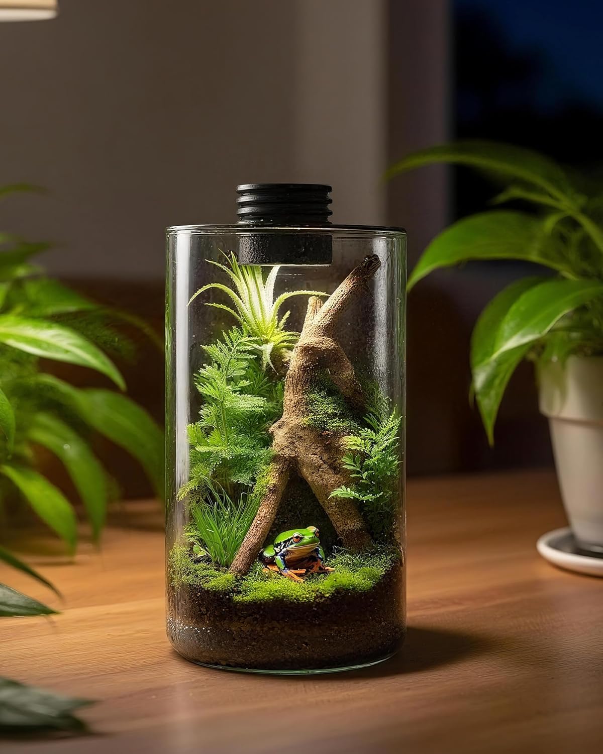 Indoor Glass Terrarium with Gr - Betta Fish Tank 评论和价格
