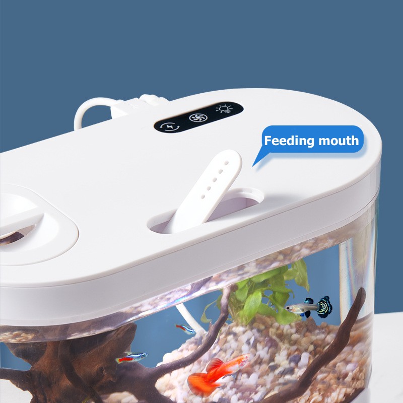 Creative Mini Desktop Fish Tan - Betta Fish Tank 评论和价格