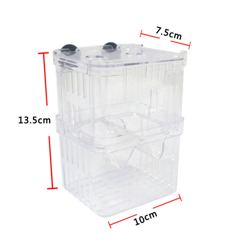 Peacock Fish Breeding Isolatio - Aquarium Fish Betta 评论和价格