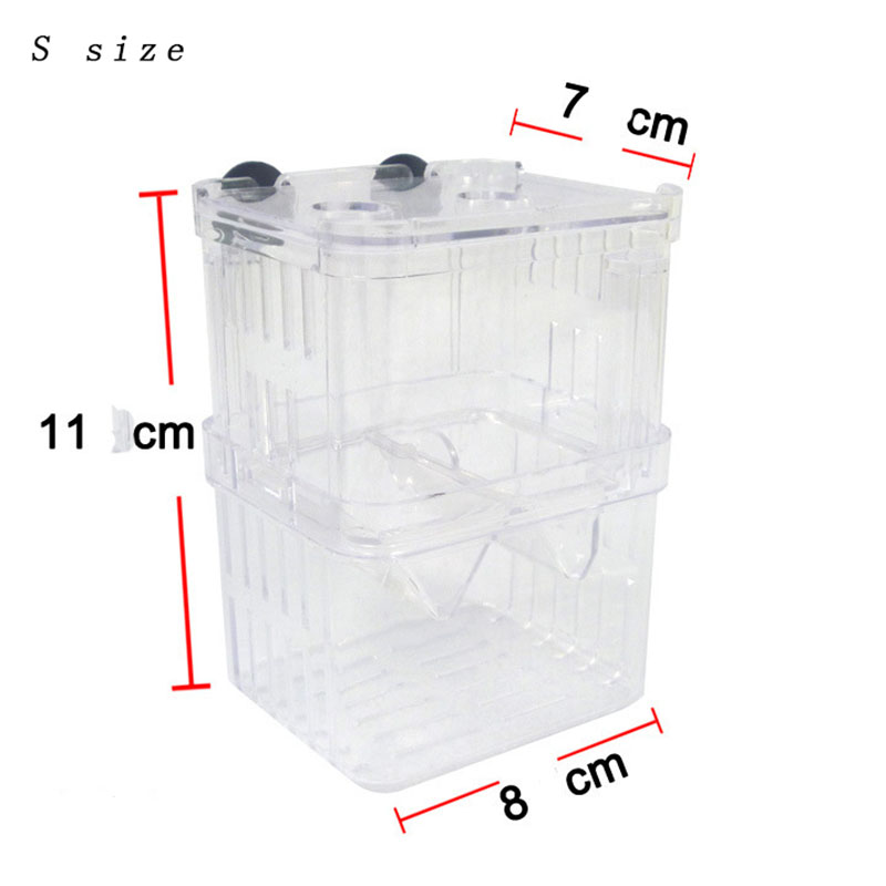 Peacock Fish Breeding Isolatio - Aquarium Fish Betta 评论和价格