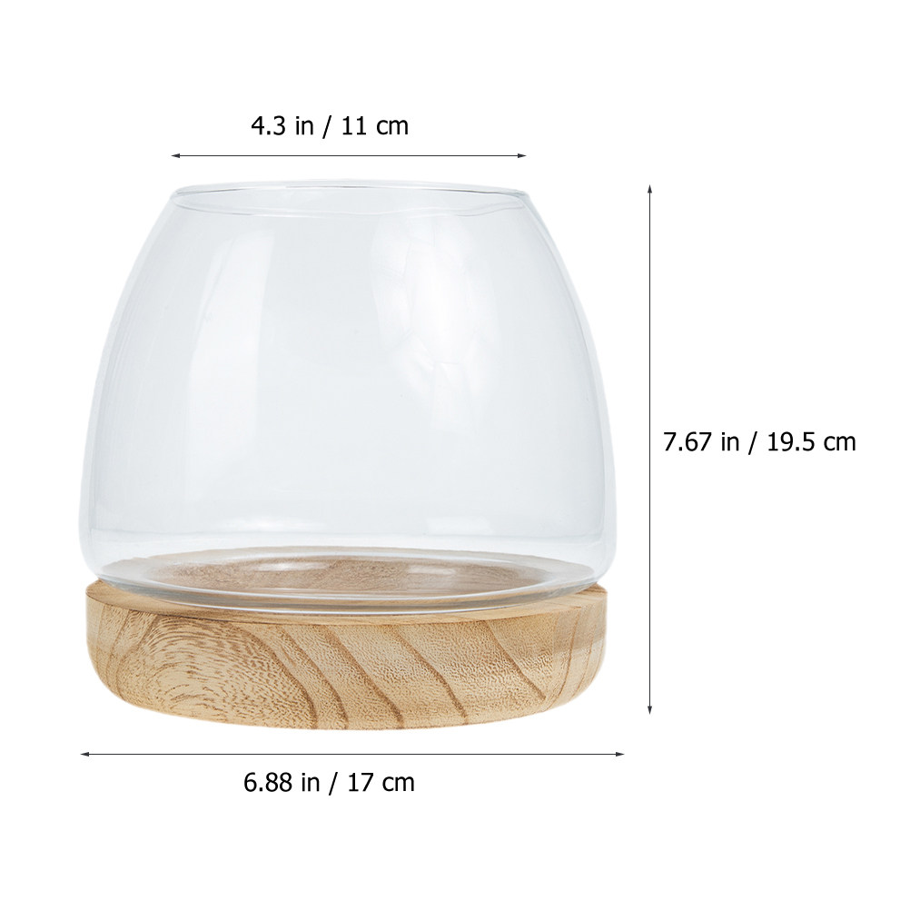 1Set Clear Glass Hydroponic Pl - Aquarium Fish Betta 评论和价格
