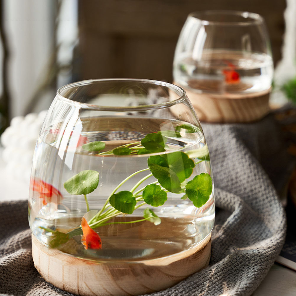 1Set Clear Glass Hydroponic Pl - Aquarium Fish Betta 评论和价格